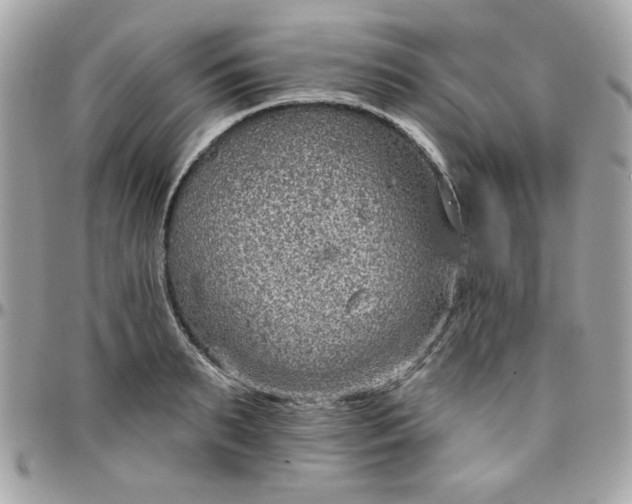 X0000097770895200803211734