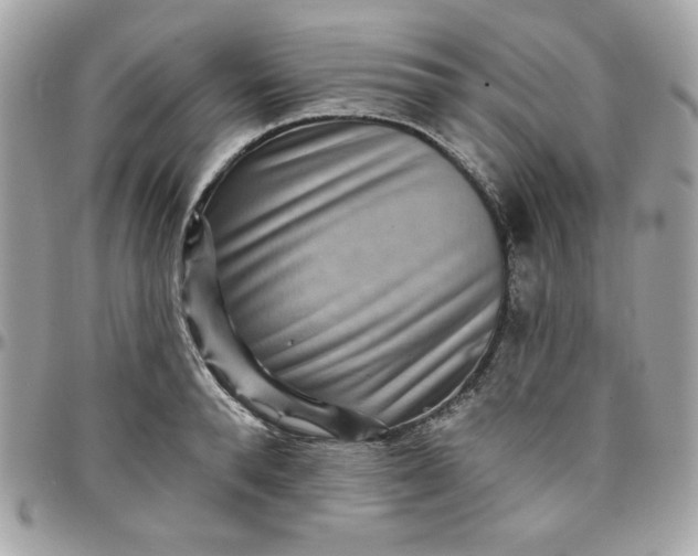 X0000097770896200803211734