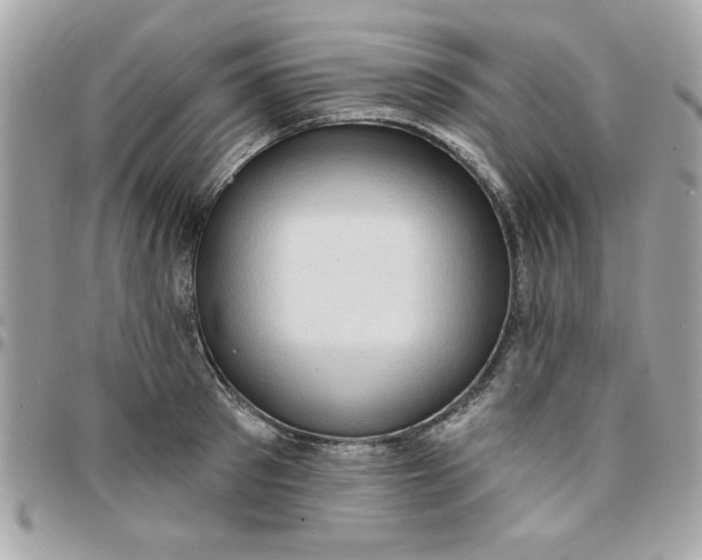 X0000097770897200803211734