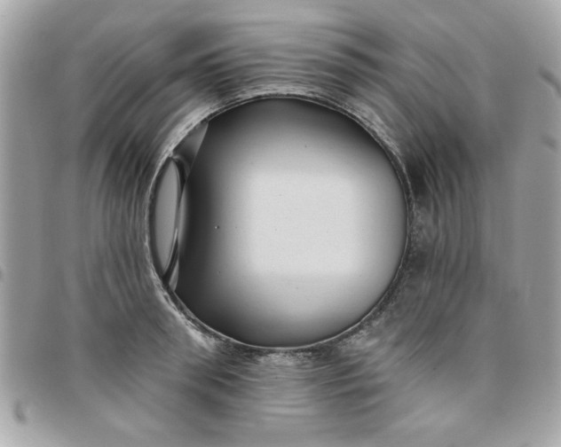 X0000097770898200803211734