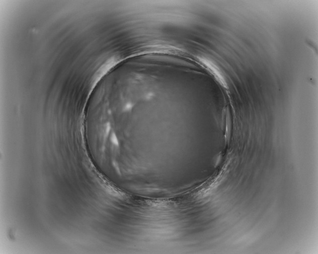 X0000097770899200803211734