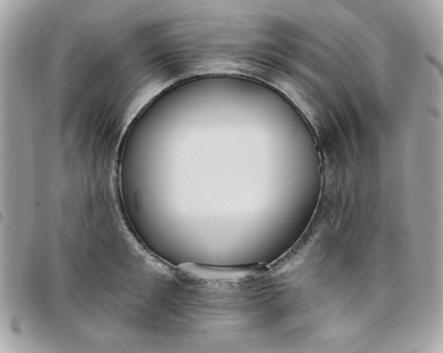 X0000097770901200803211734