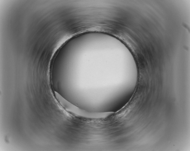 X0000097770902200803211734