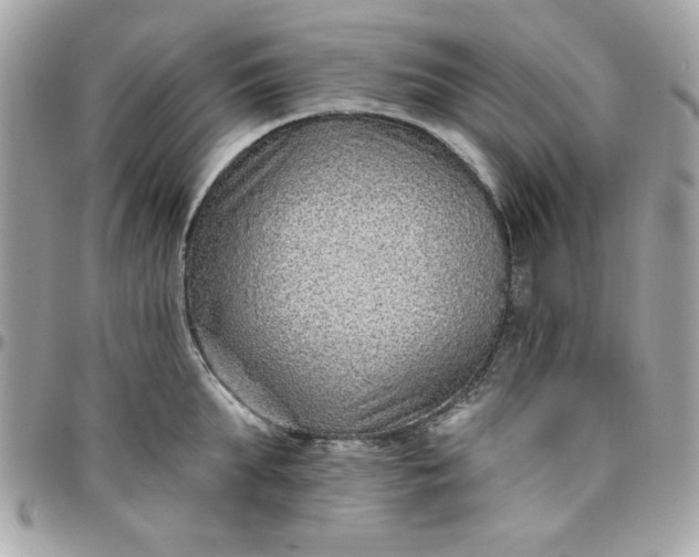 X0000097770903200803211734