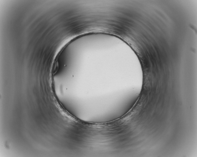 X0000097770904200803211734