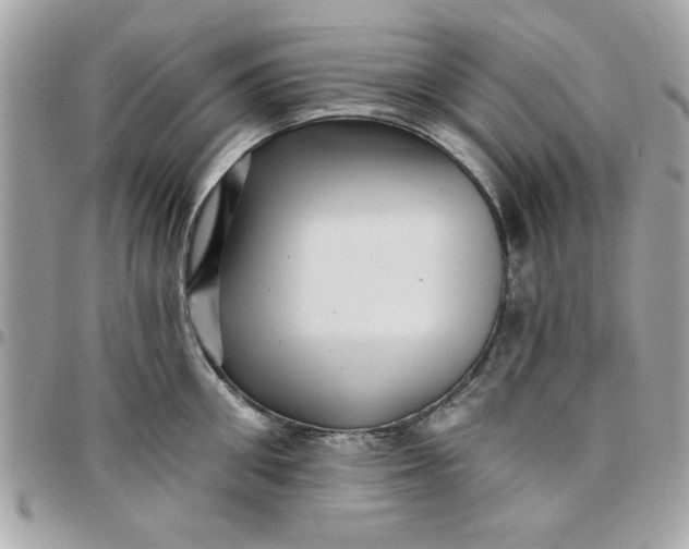 X0000097770906200803211734