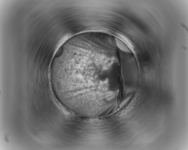 X0000097770907200803211734