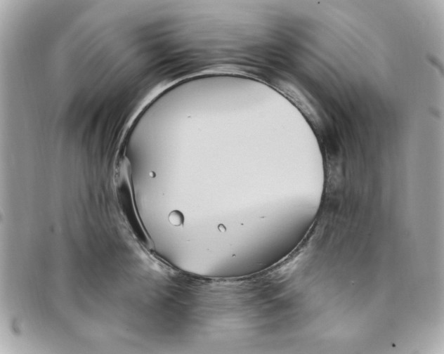 X0000097770908200803211734