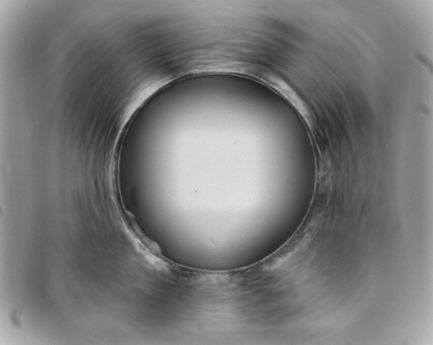 X0000097770909200803211734