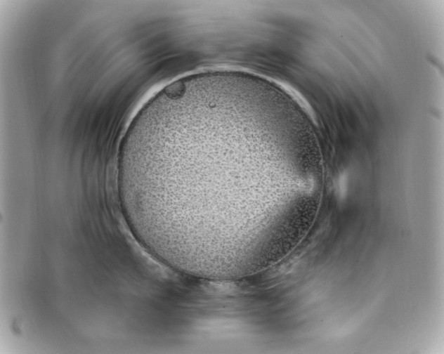 X0000097770911200803211734