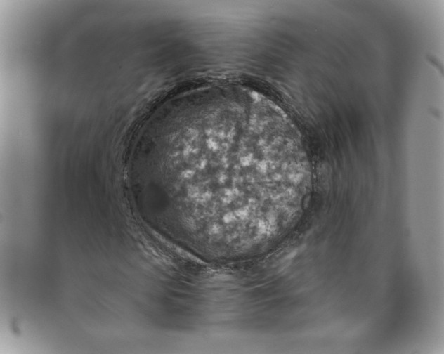 X0000097770913200803211733