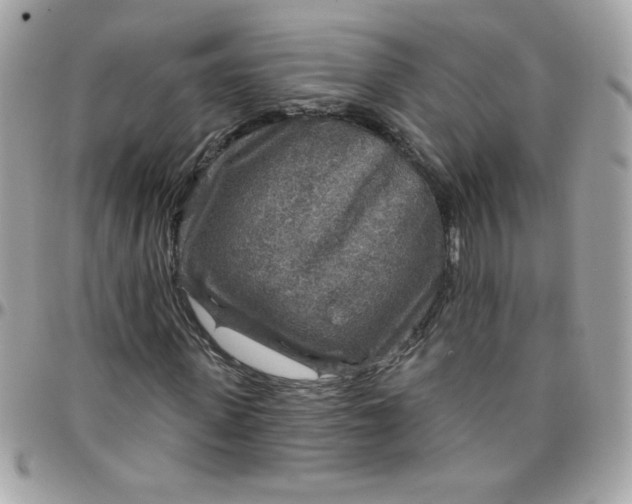 X0000097770915200803211733