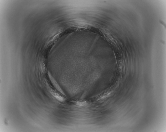X0000097770916200803211733