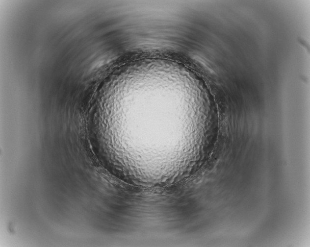 X0000097770917200803211733