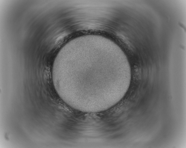 X0000097770918200803211733