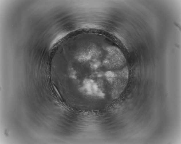 X0000097770919200803211733