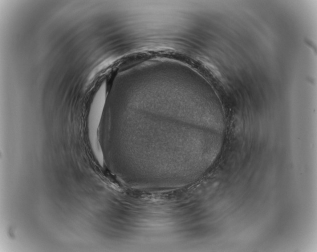 X0000097770920200803211733