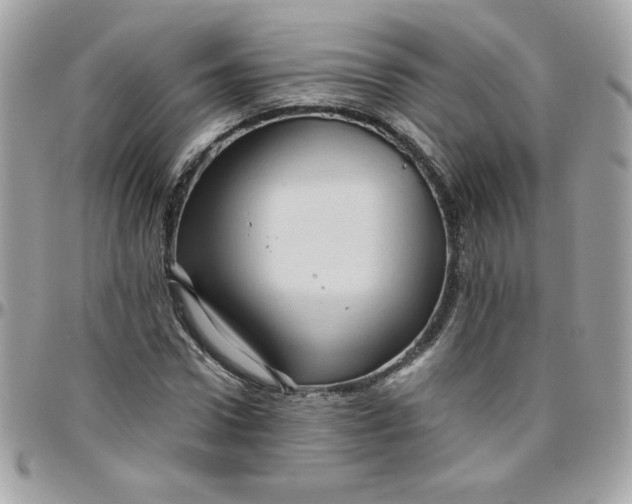 X0000097770922200803211733