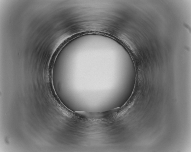 X0000097770924200803211733
