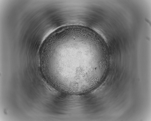 X0000097770925200803211733