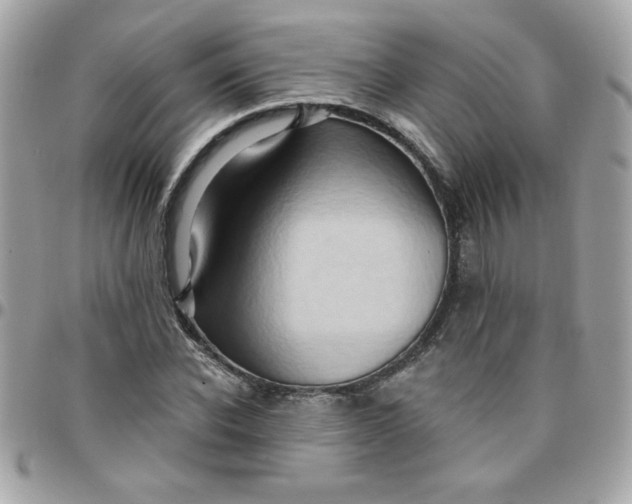 X0000097770926200803211733