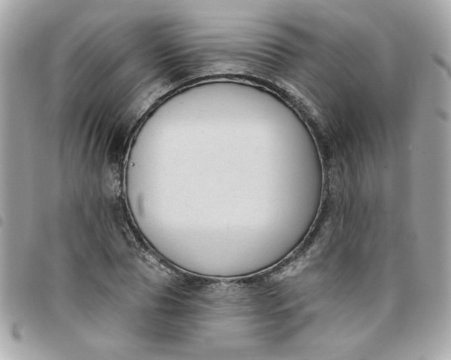 X0000097770929200803211733