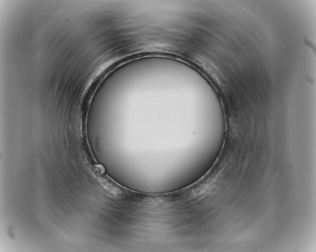 X0000097770931200803211733