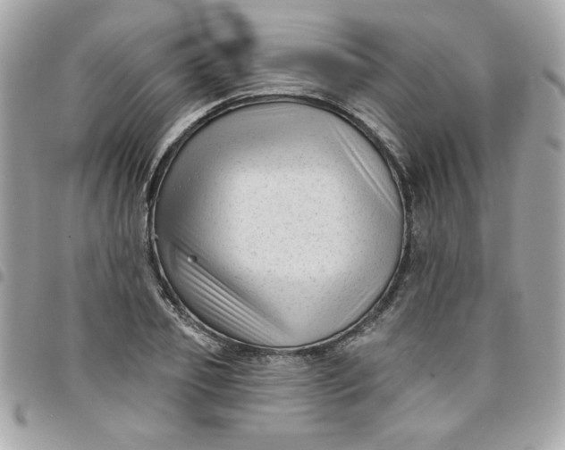 X0000097770933200803211733
