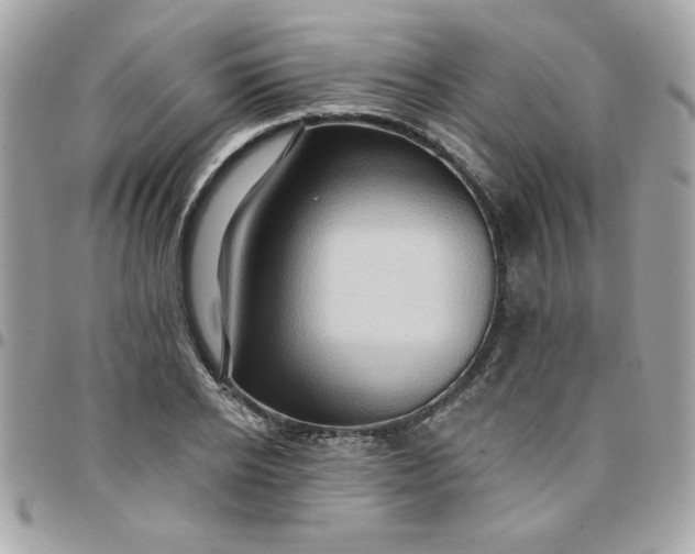 X0000097770934200803211733