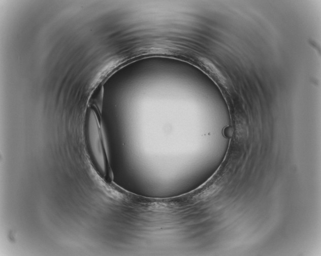 X0000097770938200803211733