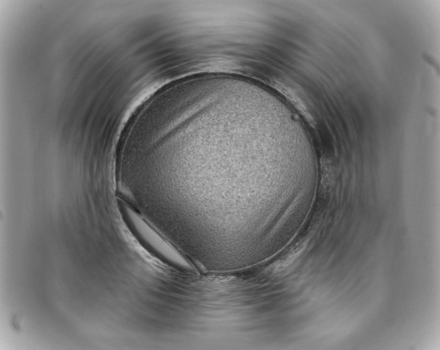 X0000097770939200803211733