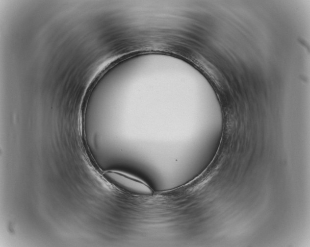 X0000097770940200803211733
