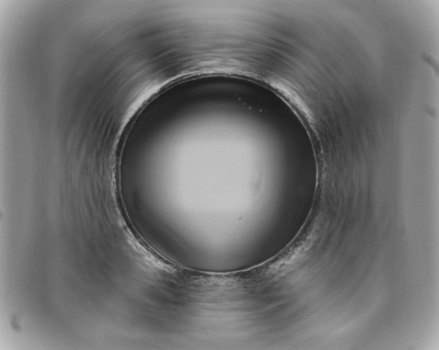 X0000097770941200803211734