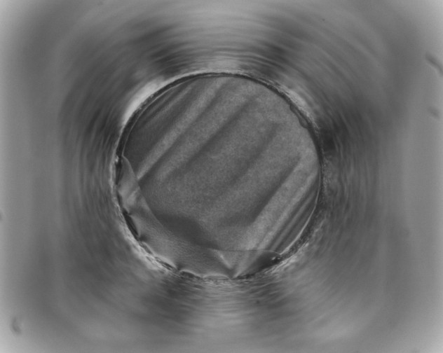 X0000097770944200803211734