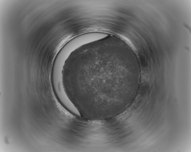 X0000097770946200803211734