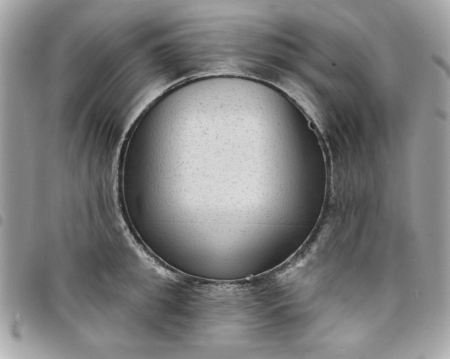 X0000097770949200803211734