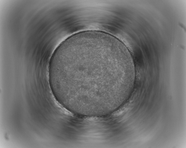 X0000097770950200803211734