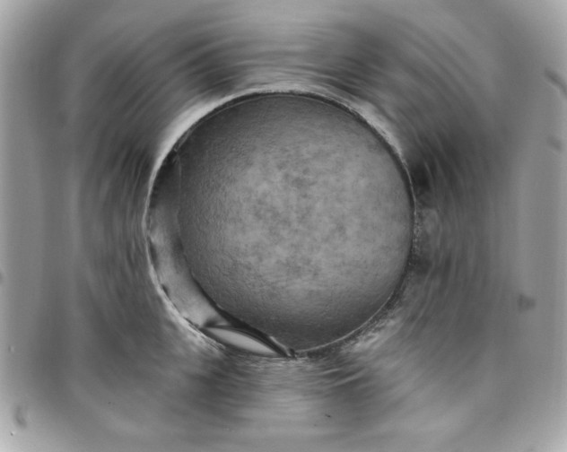 X0000097770951200803211734