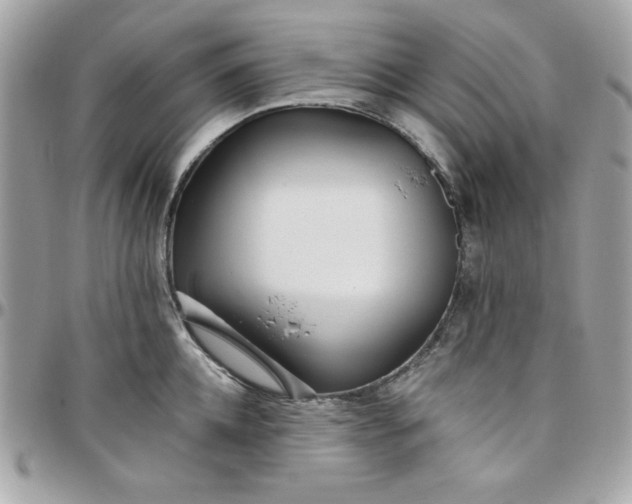 X0000097770952200803211734