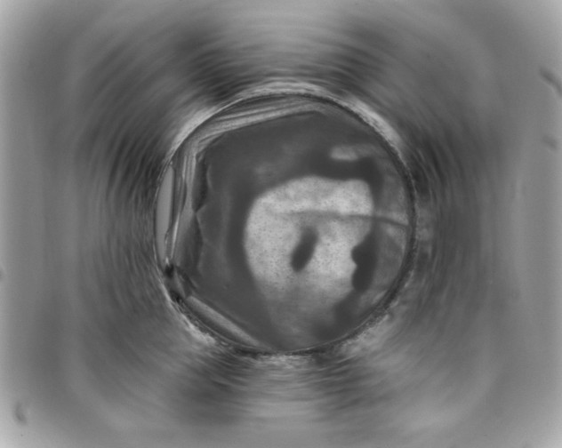 X0000097770953200803211734