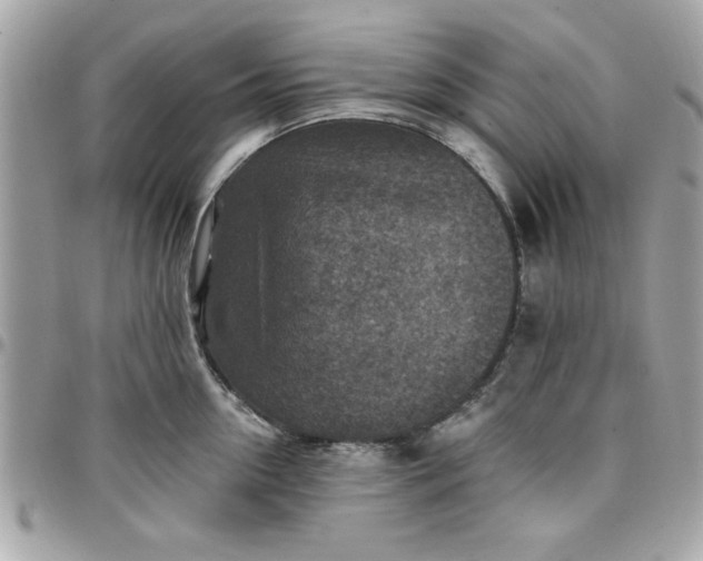 X0000097770954200803211734