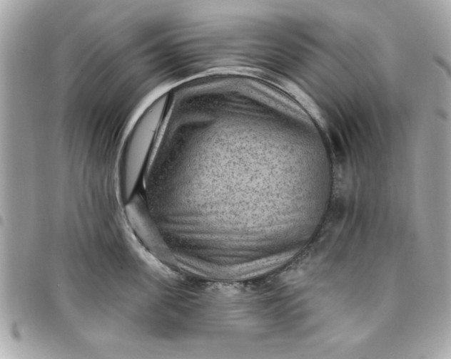 X0000097770955200803211734