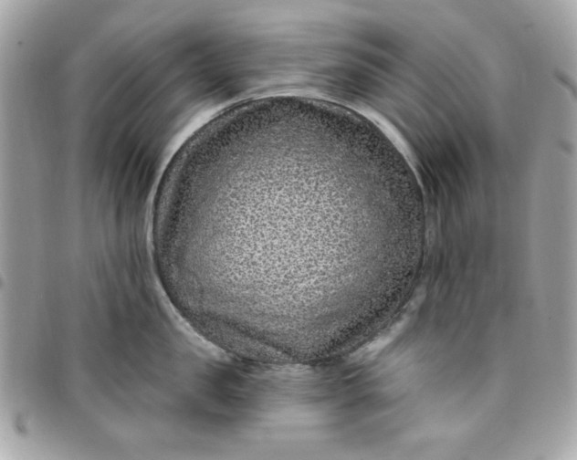 X0000097770957200803211734