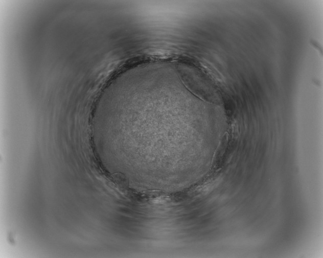 X0000097770961200803211733