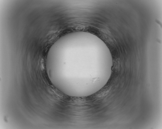 X0000097770962200803211733
