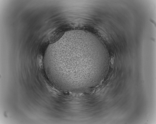 X0000097770963200803211733