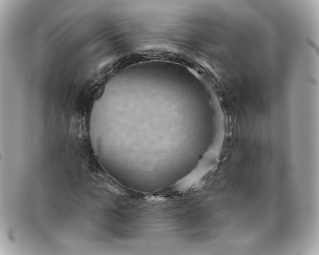 X0000097770965200803211733