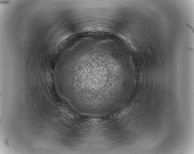 X0000097770966200803211733