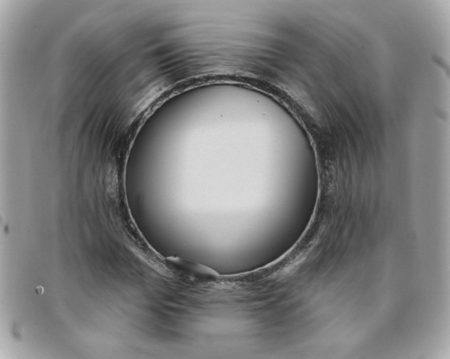 X0000097770969200803211733