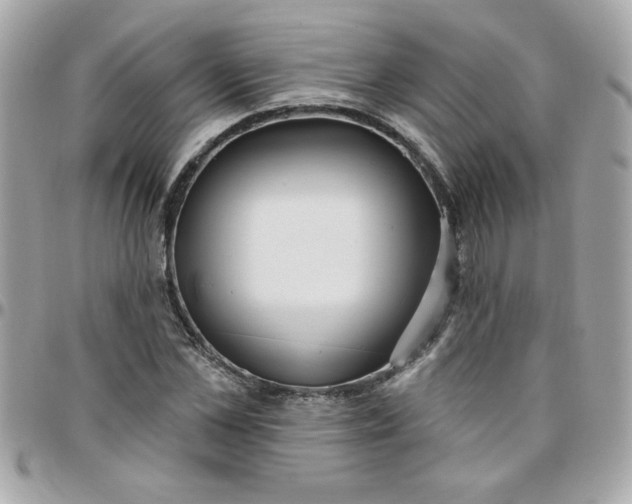 X0000097770973200803211733